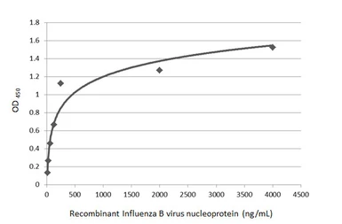 Anti-Influenza B virus Nucleoprotein antibody [GT371] used in ELISA (ELISA). GTX629882