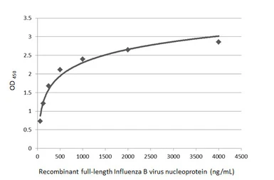 Anti-Influenza B virus Nucleoprotein antibody [GT382] used in ELISA (ELISA). GTX629883