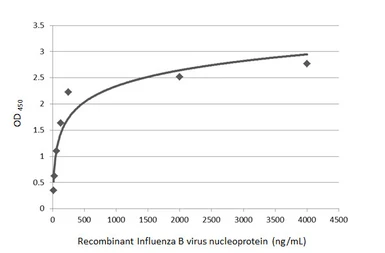 Anti-Influenza B virus Nucleoprotein antibody [GT382] used in ELISA (ELISA). GTX629883