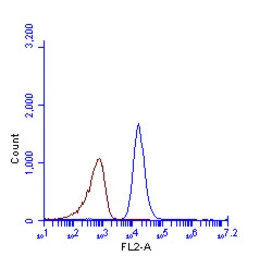Anti-SQSTM1 / P62 antibody [GT1478] used in Flow cytometry (FCM). GTX629890