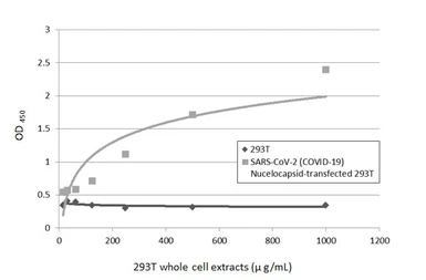 Anti-SARS-CoV / SARS-CoV-2 (COVID-19) Nucleocapsid antibody [6H3] used in ELISA (ELISA). GTX632269