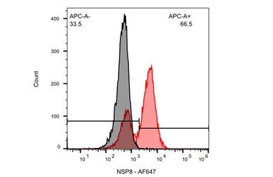 Anti-SARS-CoV / SARS-CoV-2 (COVID-19) nsp8 antibody [5A10] used in Flow cytometry (FCM). GTX632696
