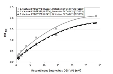 Anti-Enterovirus D68 VP1 antibody [GT11610] used in ELISA (ELISA). GTX633688