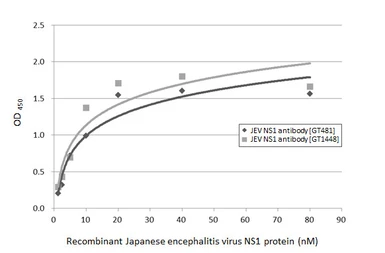 Anti-Japanese encephalitis virus NS1 antibody [GT1448] used in ELISA (ELISA). GTX633819