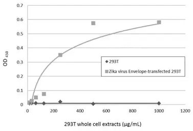 Anti-Zika virus Envelope protein antibody [GT871] used in ELISA (ELISA). GTX634157