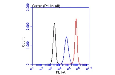 Anti-CA19-9 antibody [GT8510] used in Flow cytometry (FCM). GTX635391