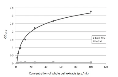 Anti-CA19-9 antibody [GT8510] used in ELISA (ELISA). GTX635391