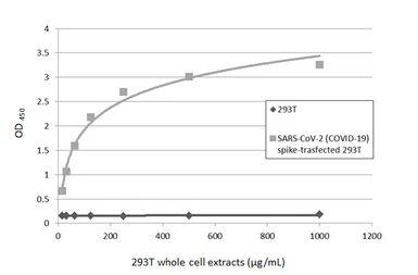 Anti-SARS-CoV-2 (COVID-19) Spike S1 antibody [HL1] used in ELISA (ELISA). GTX635656