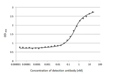 Anti-SARS-CoV-2 (COVID-19) Spike S1 antibody [HL263] used in ELISA (ELISA). GTX635672