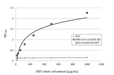 Anti-SARS-CoV-2 (COVID-19) Spike S1 antibody [HL263] used in ELISA (ELISA). GTX635672