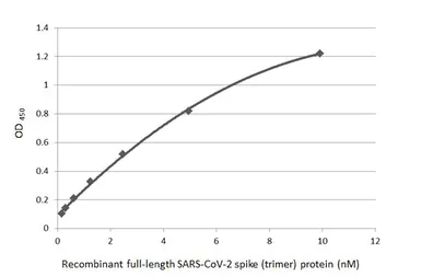 Anti-SARS-CoV-2 (COVID-19) Spike S1 antibody [HL263] used in ELISA (ELISA). GTX635672