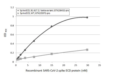 Anti-SARS-CoV-2 (COVID-19) Spike S1 antibody [HL263] used in ELISA (ELISA). GTX635672