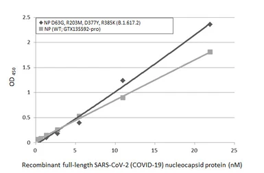 Anti-SARS-CoV-2 (COVID-19) Nucleocapsid antibody [HL344] used in ELISA (ELISA). GTX635679