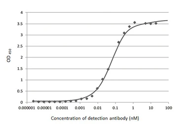 Anti-SARS-CoV-2 (COVID-19) Nucleocapsid antibody [HL146] used in ELISA (ELISA). GTX635680