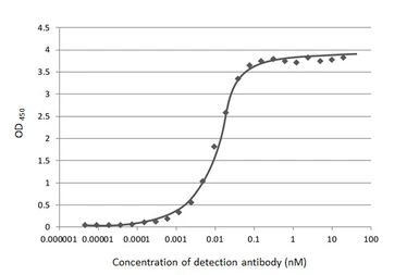 Anti-SARS-CoV-2 (COVID-19) Nucleocapsid antibody [HL448] used in ELISA (ELISA). GTX635686