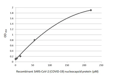 Anti-SARS-CoV-2 (COVID-19) Nucleocapsid antibody [HL448] used in ELISA (ELISA). GTX635686
