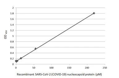 Anti-SARS-CoV-2 (COVID-19) Nucleocapsid antibody [HL448] used in ELISA (ELISA). GTX635686
