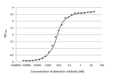 Anti-SARS-CoV-2 (COVID-19) Nucleocapsid antibody [HL453] used in ELISA (ELISA). GTX635687