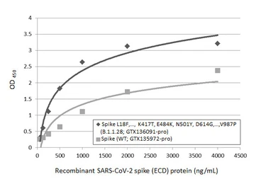 Anti-SARS-CoV-2 (COVID-19) Spike S1 antibody [HL13402] used in ELISA (ELISA). GTX635713