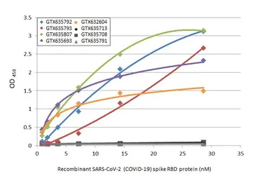 Anti-SARS-CoV-2 (COVID-19) Spike S1 antibody [HL13402] used in ELISA (ELISA). GTX635713