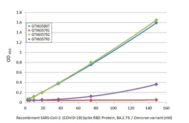 Anti-SARS-CoV-2 (COVID-19) Spike RBD antibody [HL1002] used in ELISA (ELISA). GTX635791