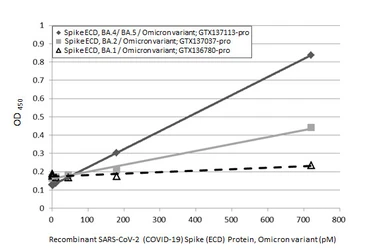 Anti-SARS-CoV-2 (COVID-19) Spike RBD antibody [HL1004] (HRP) used in ELISA (ELISA). GTX635793-01