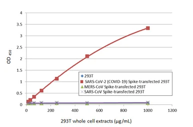 Anti-SARS-CoV-2 (COVID-19) Spike RBD antibody [HL1014] used in ELISA (ELISA). GTX635807