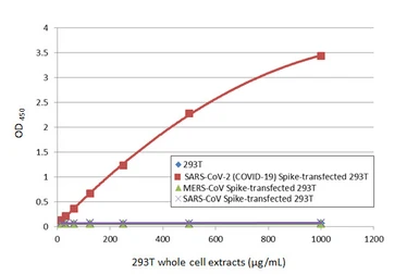 Anti-SARS-CoV-2 (COVID-19) Spike RBD antibody [HL1014] used in ELISA (ELISA). GTX635807