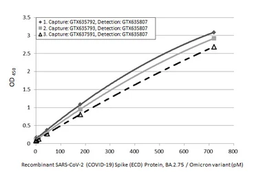 Anti-SARS-CoV-2 (COVID-19) Spike RBD antibody [HL1014] used in ELISA (ELISA). GTX635807