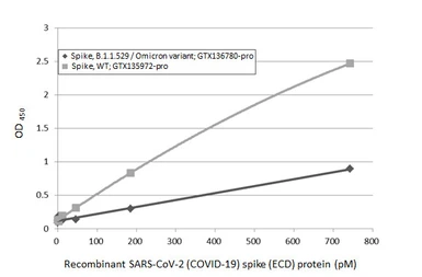 Anti-SARS-CoV-2 (COVID-19) Spike RBD antibody [HL1014] used in ELISA (ELISA). GTX635807