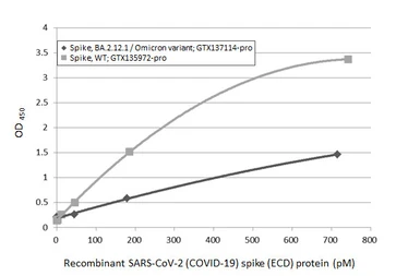 Anti-SARS-CoV-2 (COVID-19) Spike RBD antibody [HL1014] used in ELISA (ELISA). GTX635807