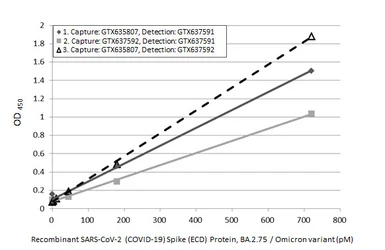 Anti-SARS-CoV-2 (COVID-19) Spike RBD antibody [HL1014] used in ELISA (ELISA). GTX635807