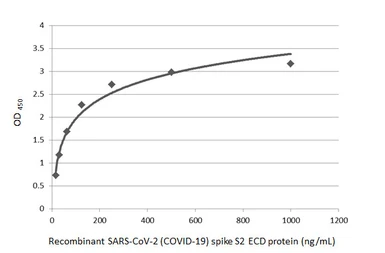 Anti-SARS-CoV-2 (COVID-19) Spike S2 antibody [HL1038] used in ELISA (ELISA). GTX635910