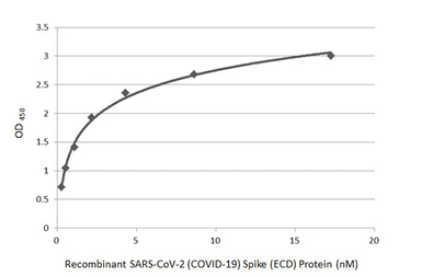 Anti-SARS-CoV-2 (COVID-19) Spike S2 antibody [HL1038] used in ELISA (ELISA). GTX635910