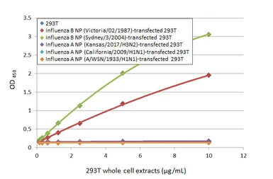 Anti-Influenza B virus Nucleoprotein antibody [HL1068] used in ELISA (ELISA). GTX636099