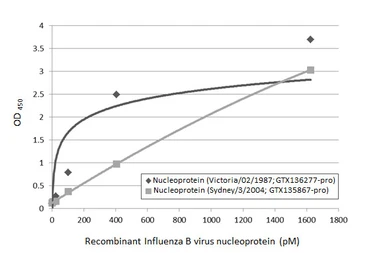Anti-Influenza B virus Nucleoprotein antibody [HL1068] used in ELISA (ELISA). GTX636099