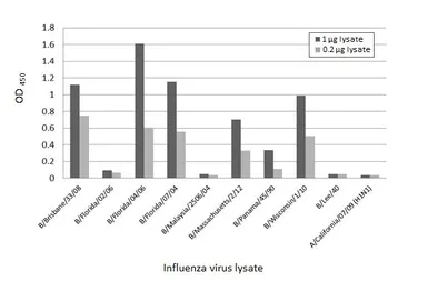 Anti-Influenza B virus Nucleoprotein antibody [HL1068] used in ELISA (ELISA). GTX636099
