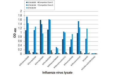 Anti-Influenza B virus Nucleoprotein antibody [HL1068] used in ELISA (ELISA). GTX636099