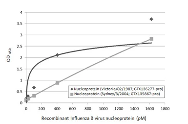 Anti-Influenza B virus Nucleoprotein antibody [HL1068] used in ELISA (ELISA). GTX636099