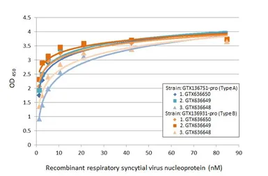 Anti-Respiratory Syncytial virus Nucleoprotein antibody [HL1248] used in ELISA (ELISA). GTX636650