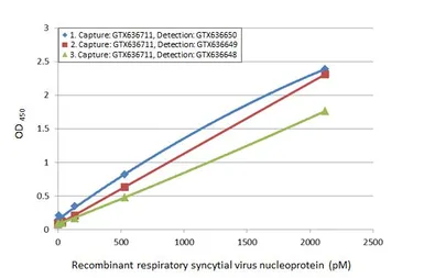 Anti-Respiratory Syncytial virus type A Nucleoprotein antibody [HL1297] used in ELISA (ELISA). GTX636711