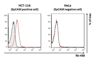 Anti-EpCAM antibody [HL1338] used in Flow cytometry (FCM). GTX636758