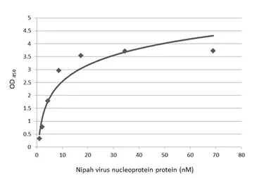 Anti-Nipah virus Nucleoprotein antibody [HL1436] used in ELISA (ELISA). GTX636902