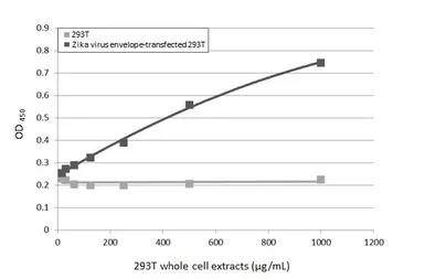Anti-Zika virus Envelope protein antibody [HL1699] used in ELISA (ELISA). GTX637298