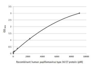 Anti-Human Papillomavirus type 16 E7 antibody [HL1821] used in ELISA (ELISA). GTX637546