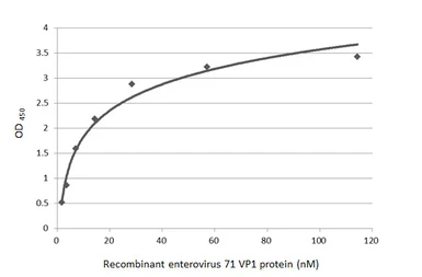 Anti-Enterovirus 71 VP1 antibody [HL1929] used in ELISA (ELISA). GTX637688