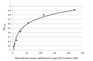 Anti-Human Papillomavirus type 18 E7 antibody [HL2522] used in ELISA (ELISA). GTX638883