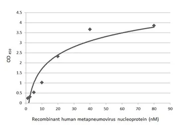 Anti-Human metapneumovirus Nucleoprotein antibody [HL2924] used in ELISA (ELISA). GTX640267