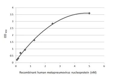 Anti-Human metapneumovirus Nucleoprotein antibody [HL2924] used in ELISA (ELISA). GTX640267
