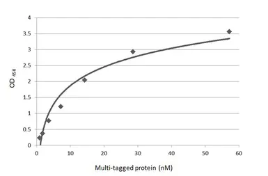 Anti-DDDDK tag antibody [M2-RB] used in ELISA (ELISA). GTX640415